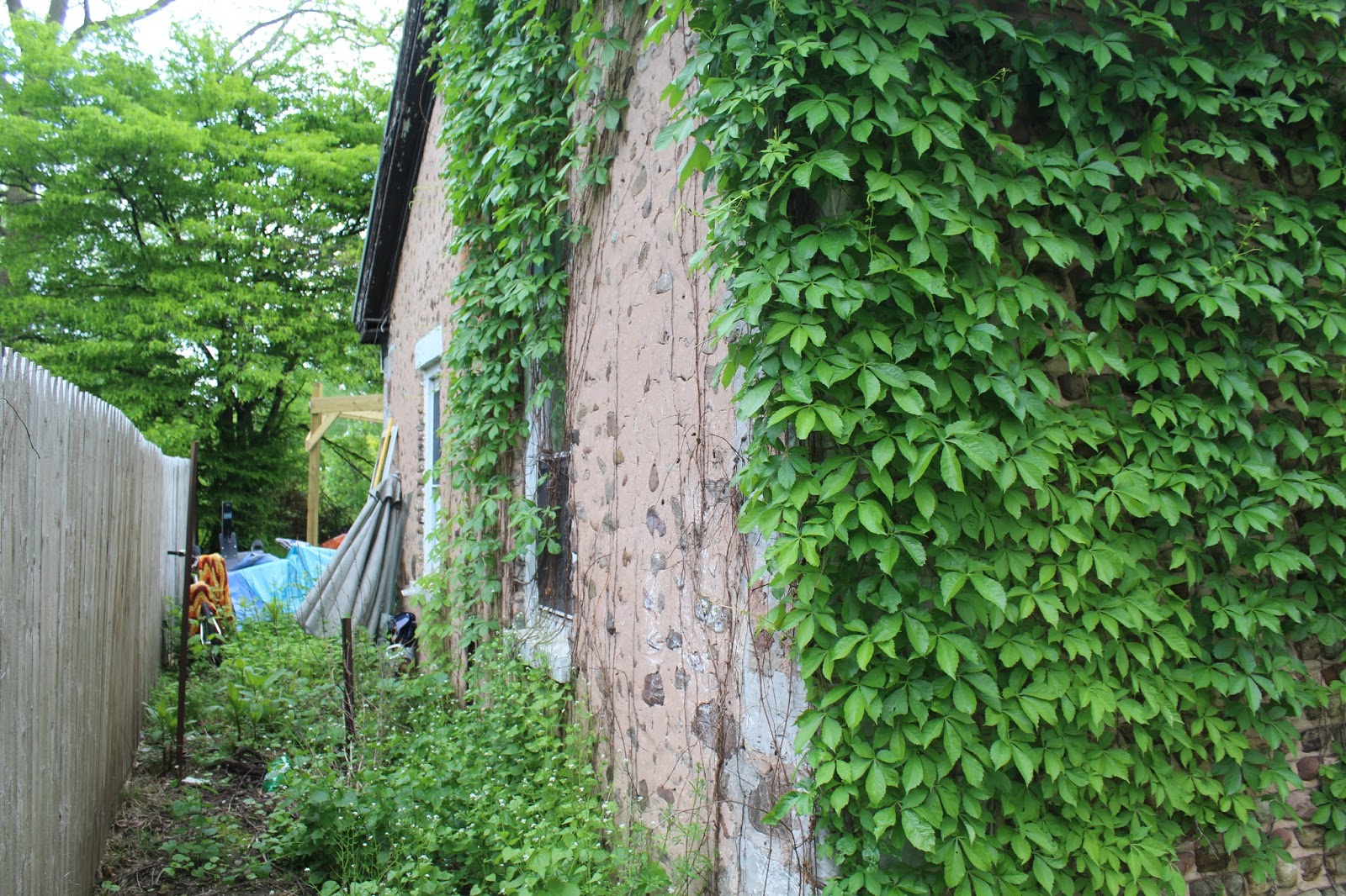 6541 Old Collamer Road (3)